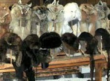 Fur hats