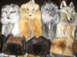 Fox fur hats with floppy ears