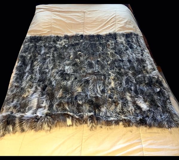 Raccoon online in blanket