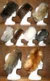 Head Bands