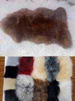 Sheepskin Rug