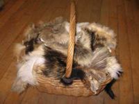 Assorted Scrap Fur