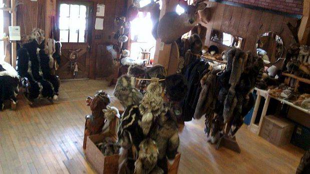 More furs in our store.